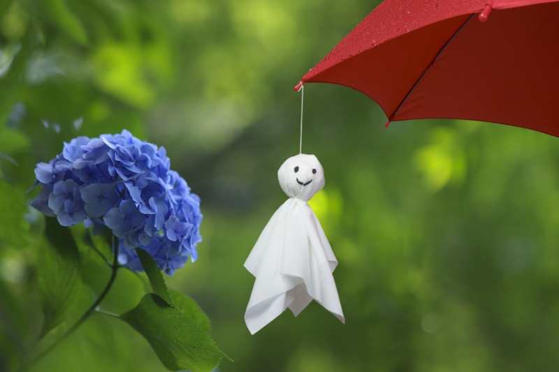 ６月～７月（梅雨時）原稿のポイントと応募率・面接率を上げるコツ