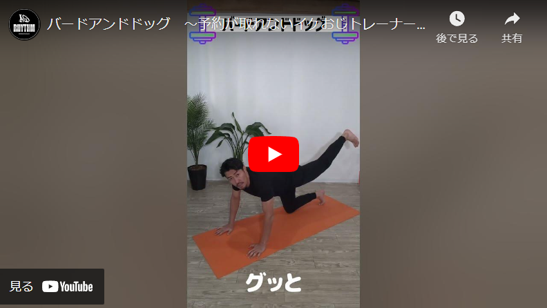 ＜1分間運動＞バードアンドドッグ